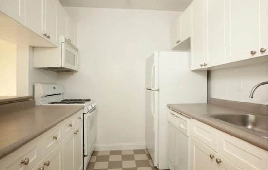 88 greenwich #414